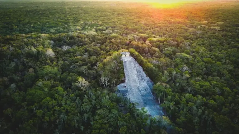 Maya civilization ruins drone jungle sunrise