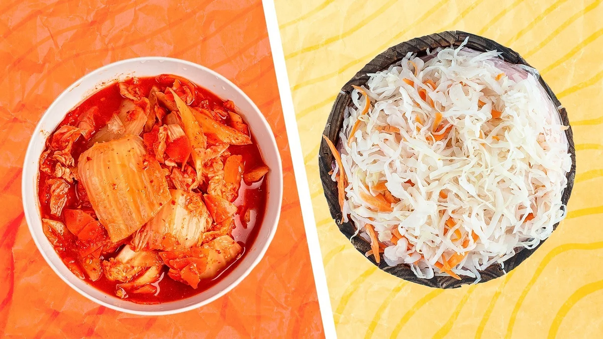 vibrant traditional german sauerkraut vs korean kimchi healthy food