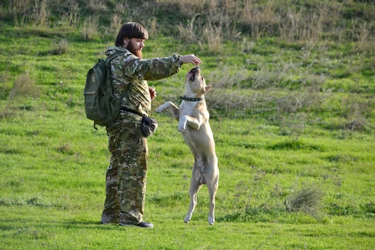 Old German athlete training shooting in his 70s