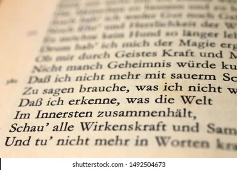 vintage goethe books close up German library