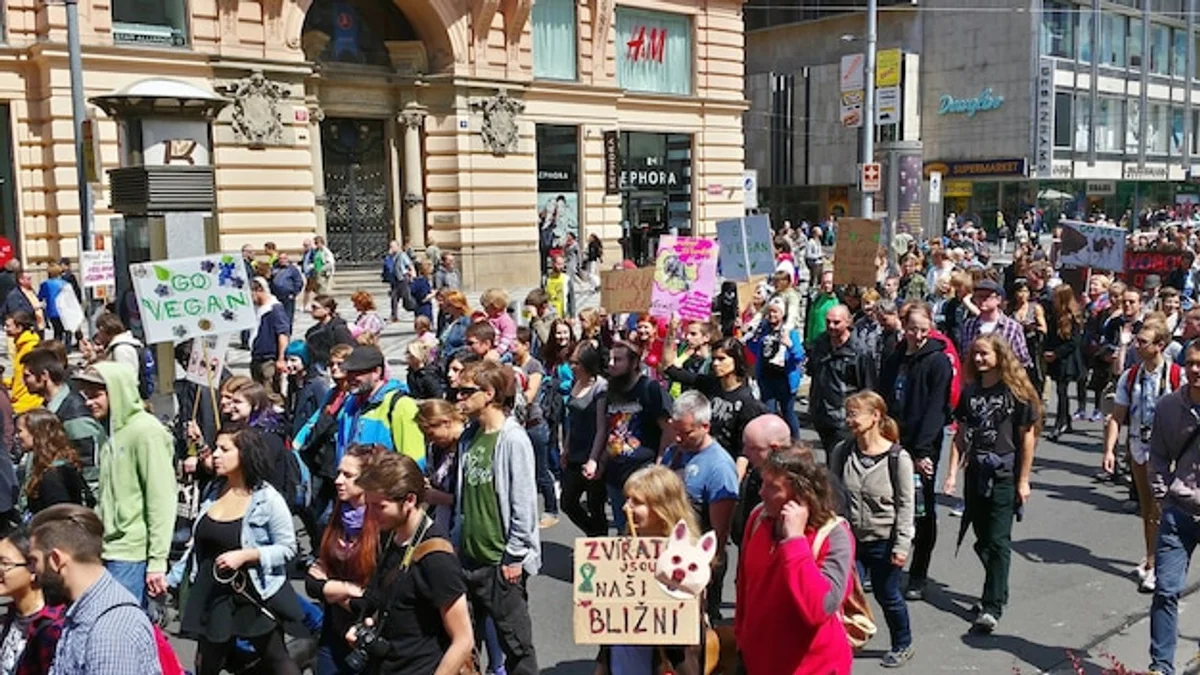 crowded vegan supermarket in Germany