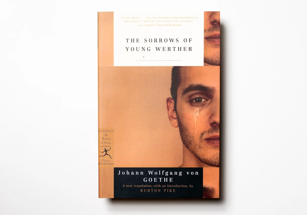 goethe misunderstood confused portrait book