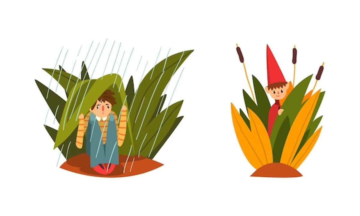 walking in heavy rain natural protection forest cape