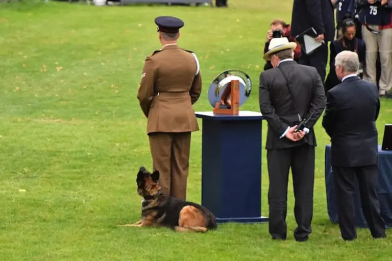 germanic tribe artifact excavation discovery Germany