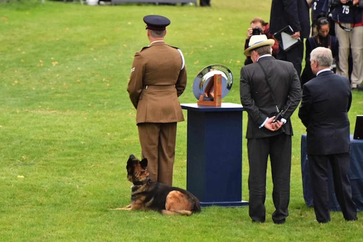 germanic tribe artifact excavation discovery Germany