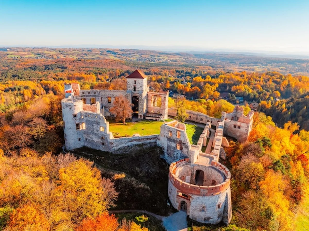 ancient germanic village reconstruction drone photography