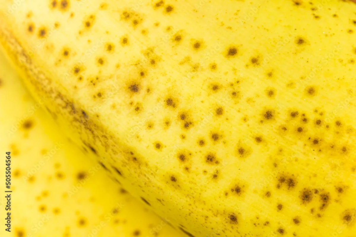 close up ethylene ripe banana peel macro