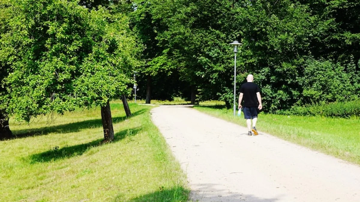 real people walking in nature park germany sunny day