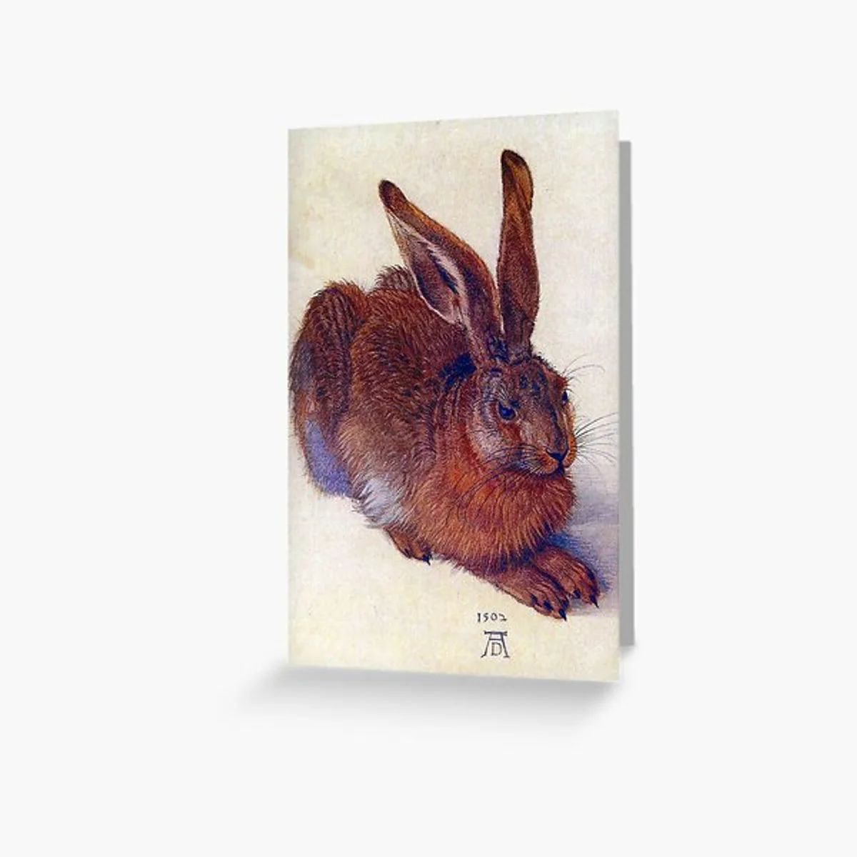 albrecht dürer field hare museum texture detail