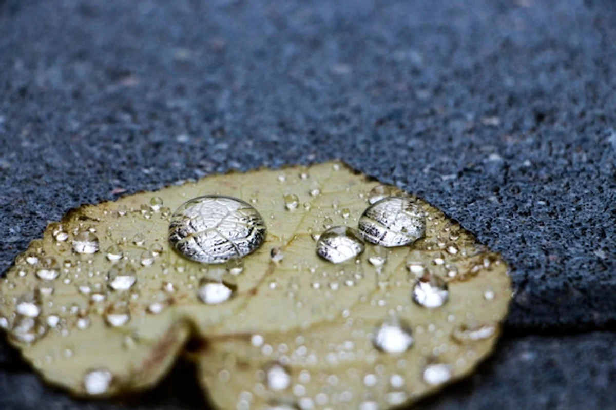 nanotech waterproof shoes urban rain street