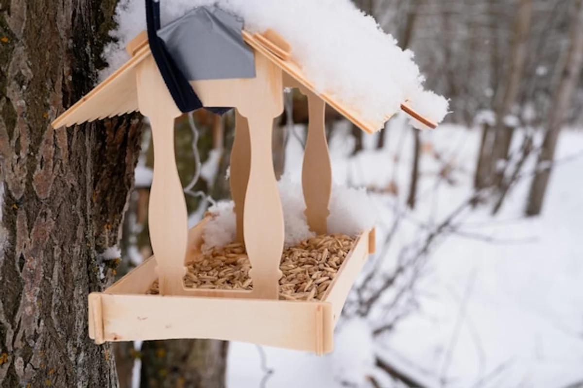homemade squirrel feeder with fresh and old nuts