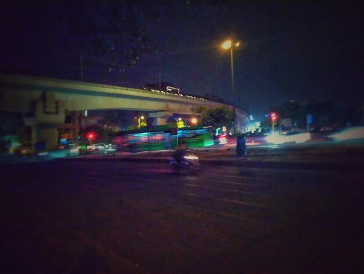 urban fox germany city night