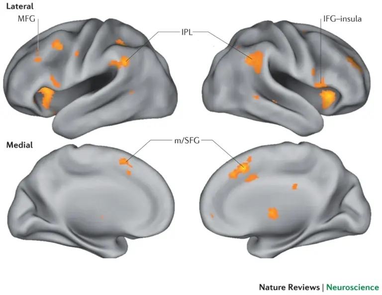 lie detection brain microexpressions