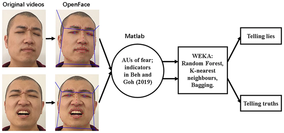 eye contact lie detection subtle facial expressions