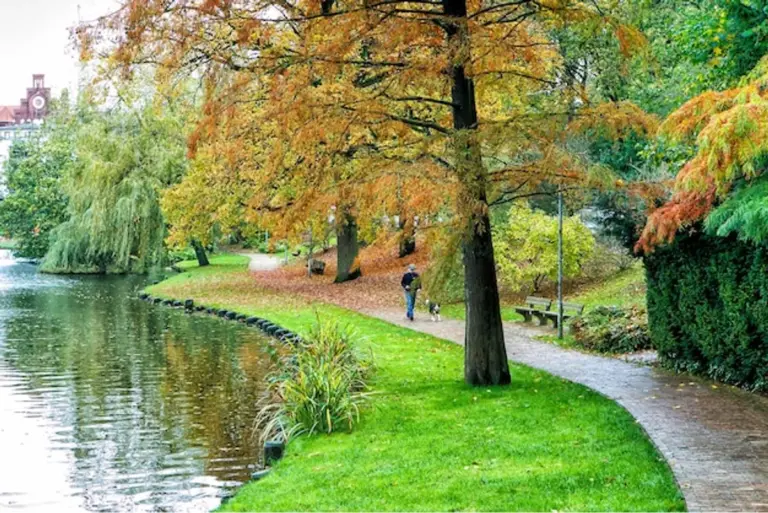 senior people walking by lake nature germany