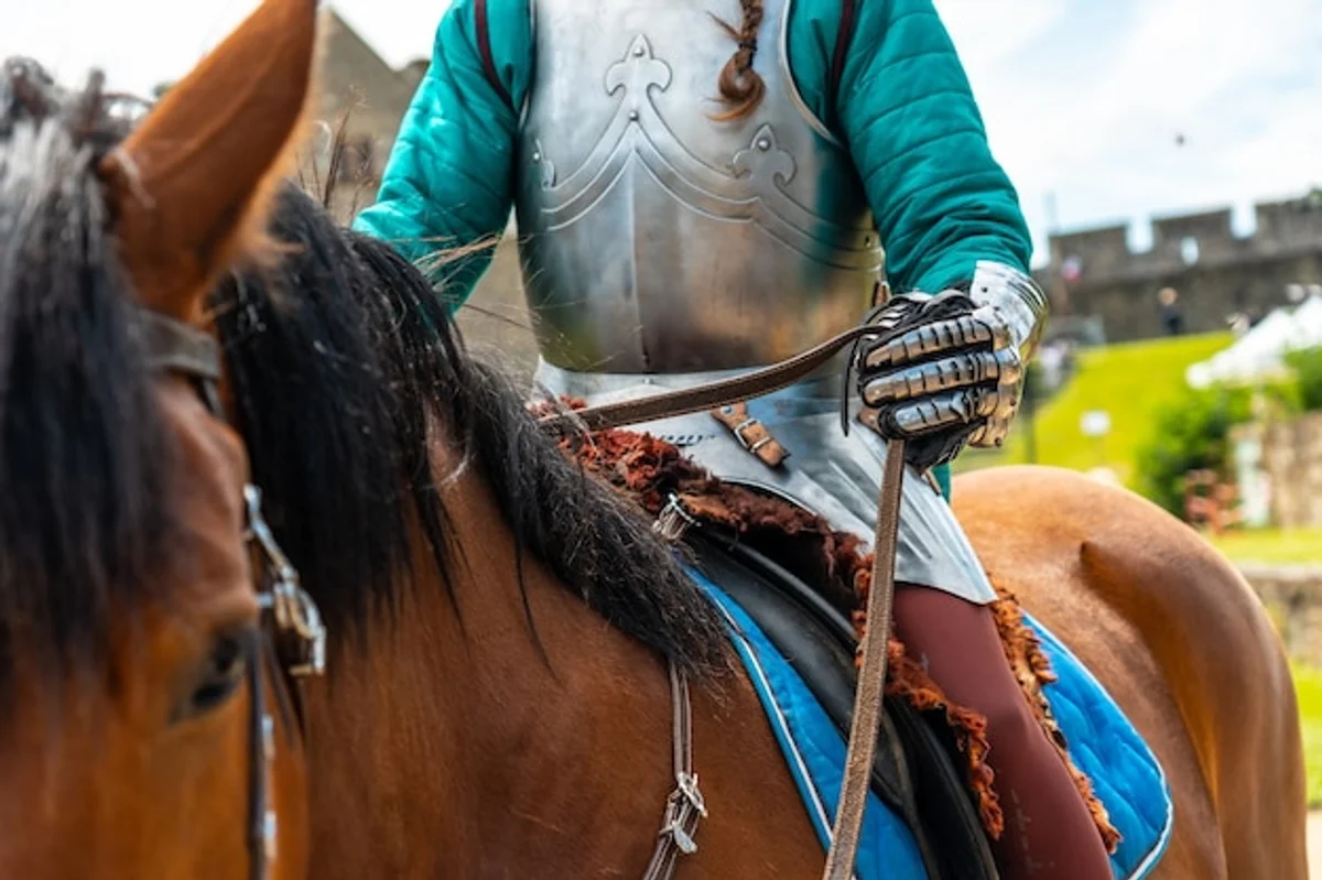 medieval knight horse armor historical nature realistic detail