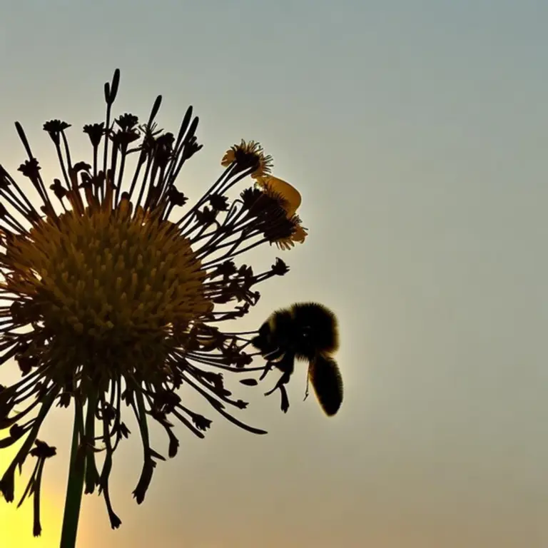 bee friendly garden Germany blooming flowers macro