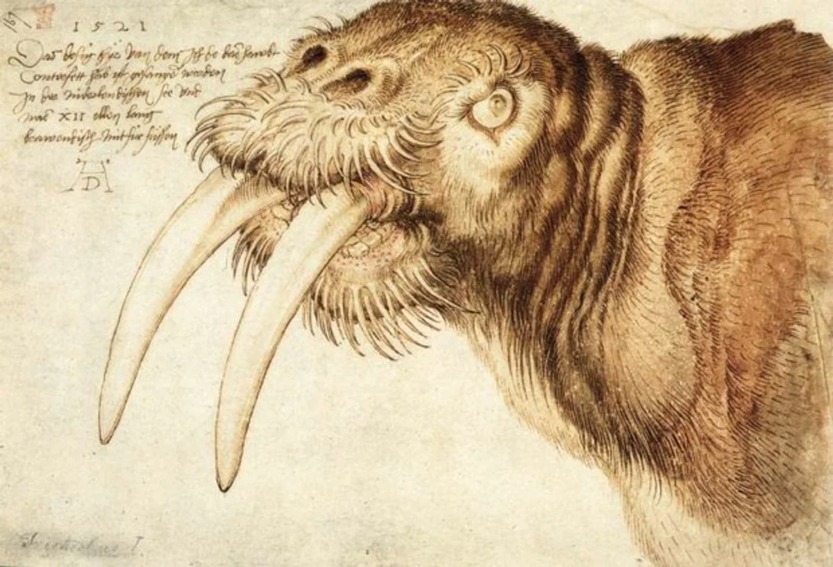 Dürer symbolism hidden clues animal details