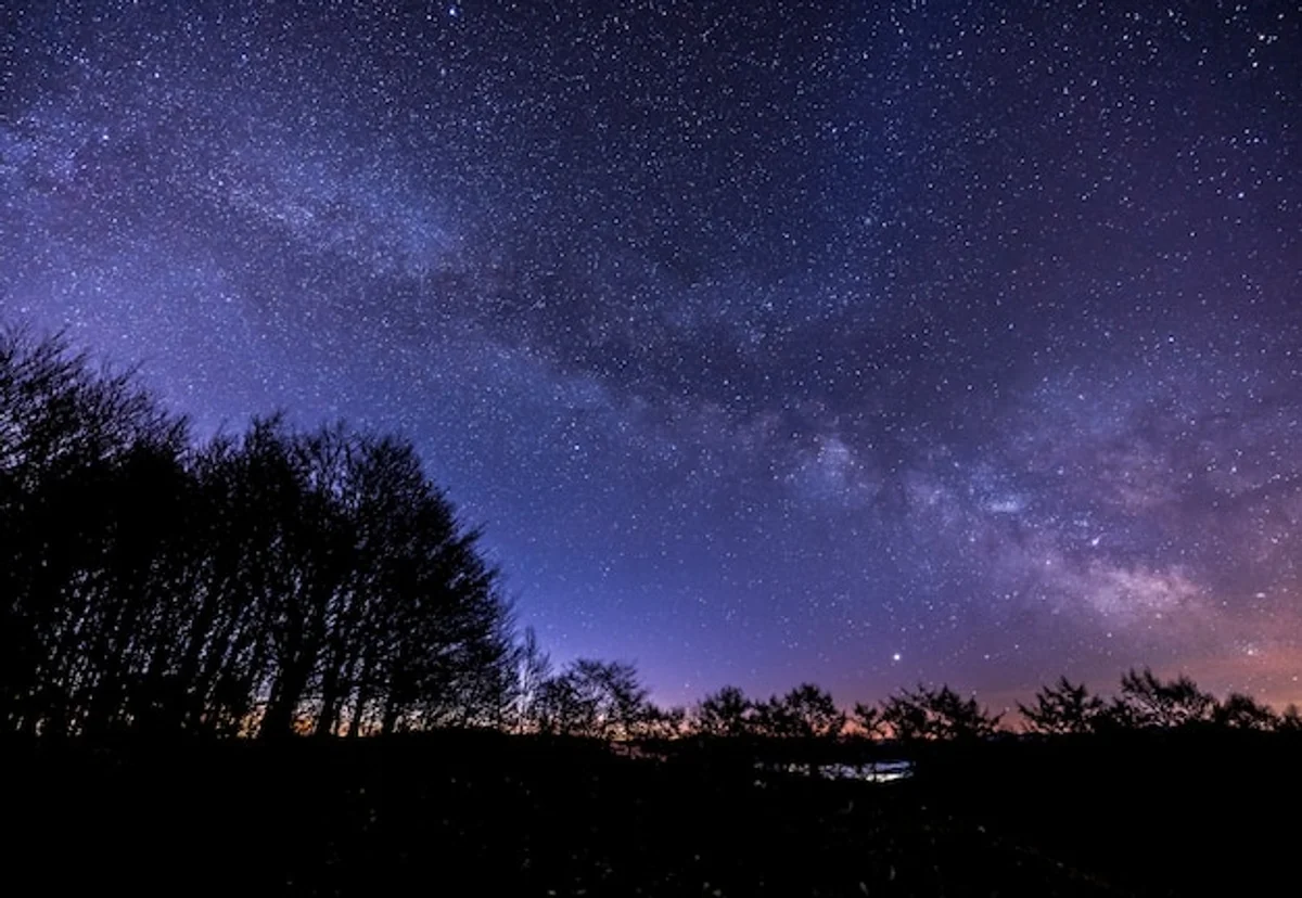 Milky Way over forest in Germany night sky photography landscape