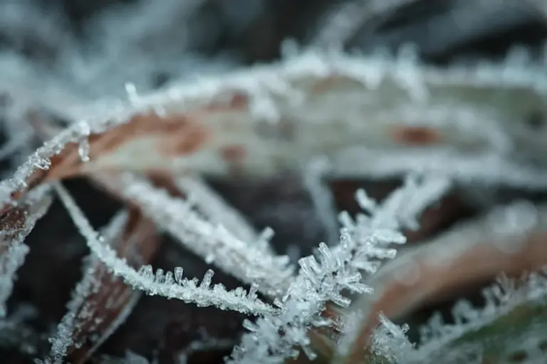 frozen water macro ice close up