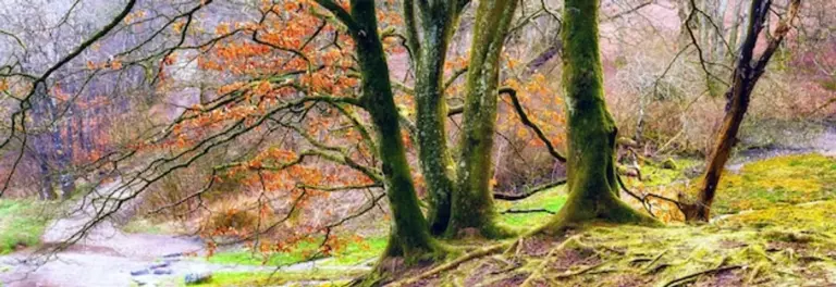 sustainable travel new zealand nature eco adventure