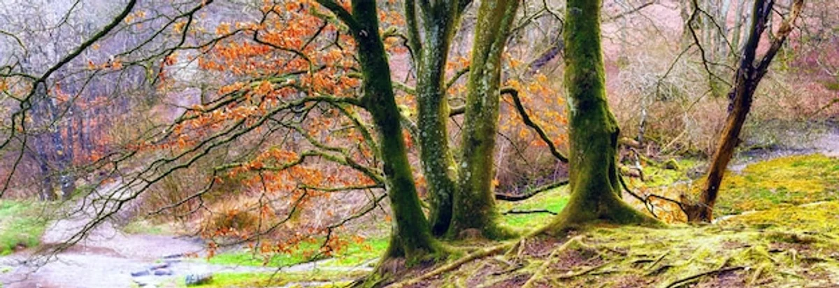 sustainable travel new zealand nature eco adventure