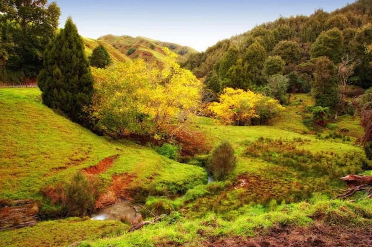 new zealand sustainable travel eco landscape