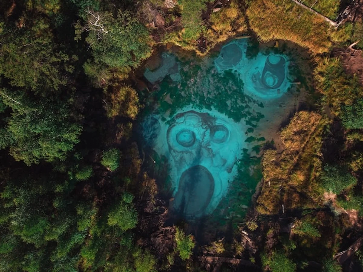 mysterious lake wilderness germany