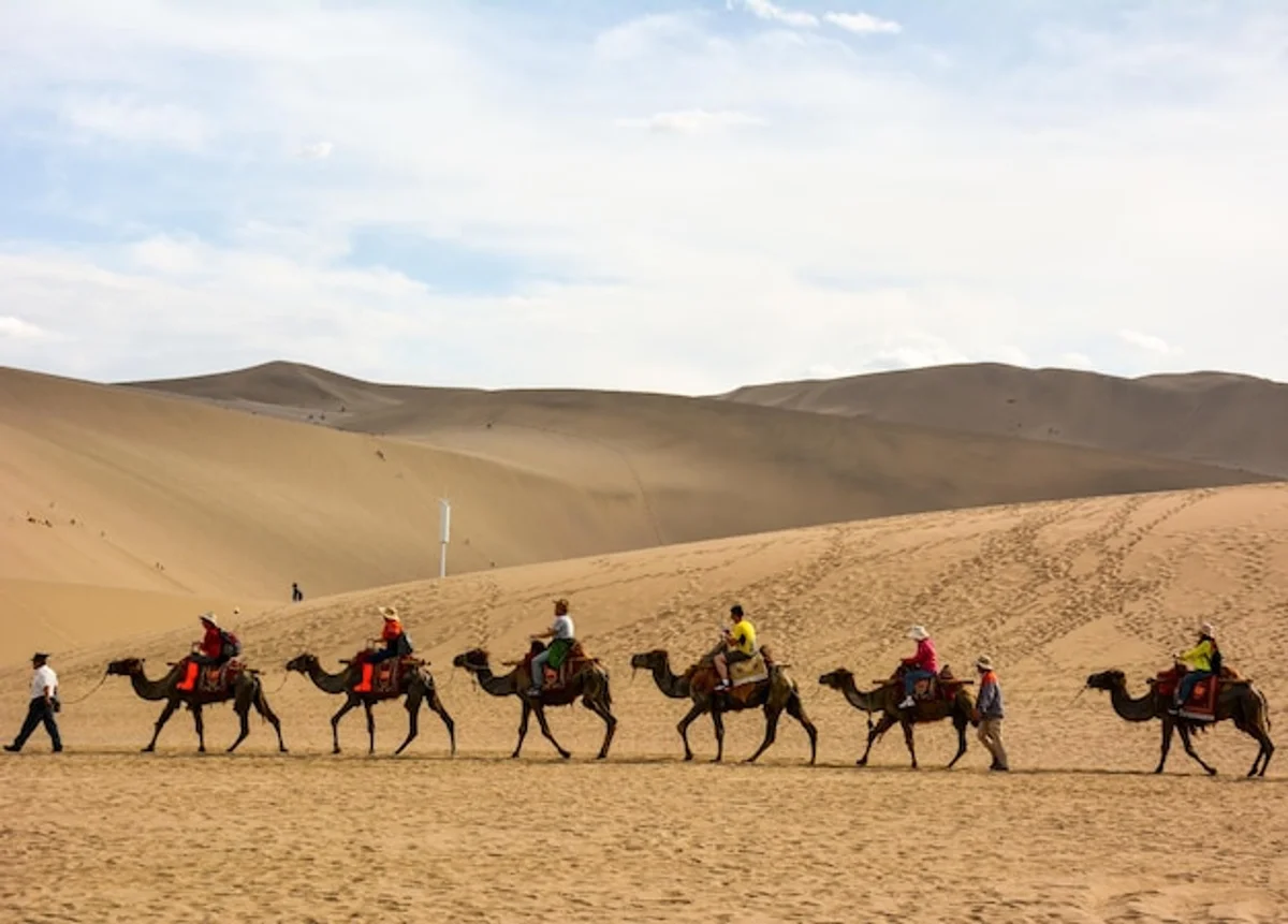 camel caravan sahara sand dunes adventure group