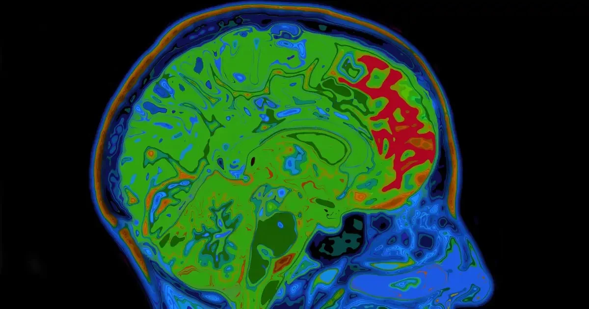 Der faszinierende 'Schalter' im menschlichen Gehirn, der Gewohnheiten formt