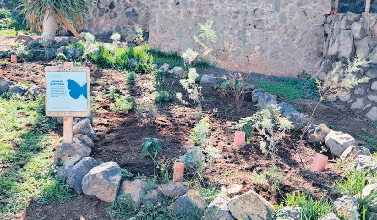 Der neue Schmetterlingsgarten in La Laguna: Ein Paradies für Bestäuber