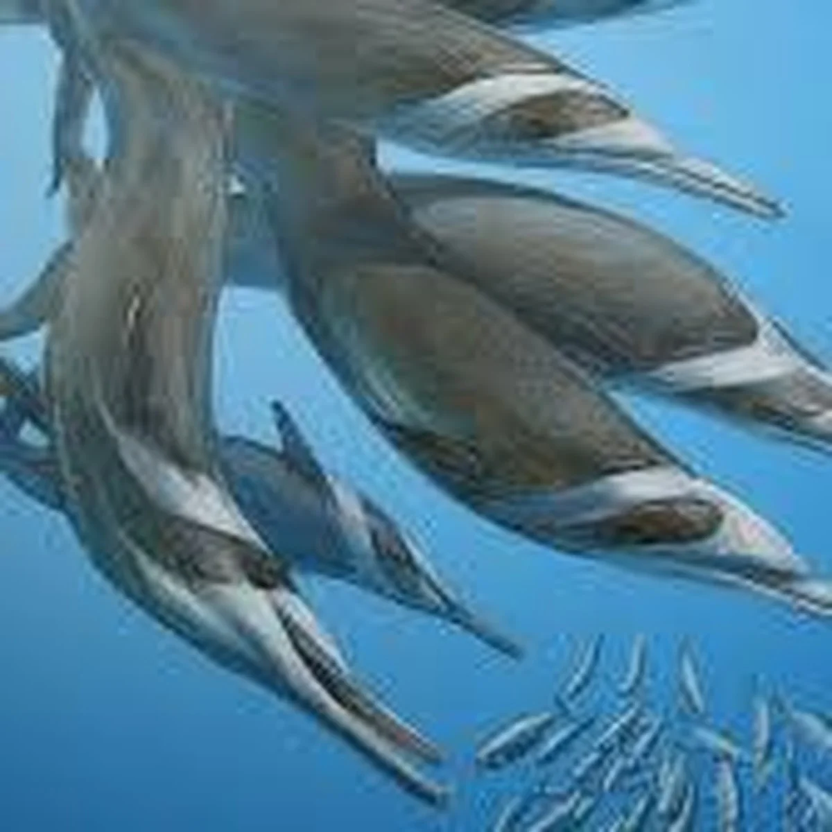 Die aufregende Entdeckung: Die ausgestorbene Delfinart Flandriacetus gijseni in der Westerschelde