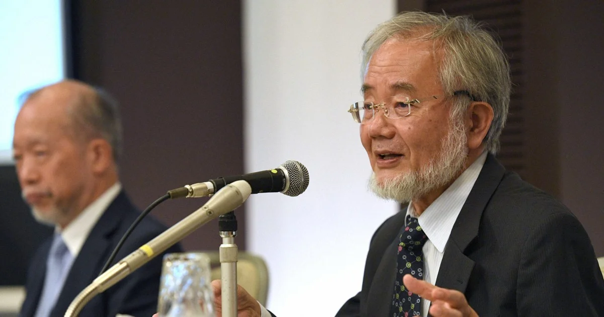 Die Besorgnis über die Zukunft der Forschung in Japan