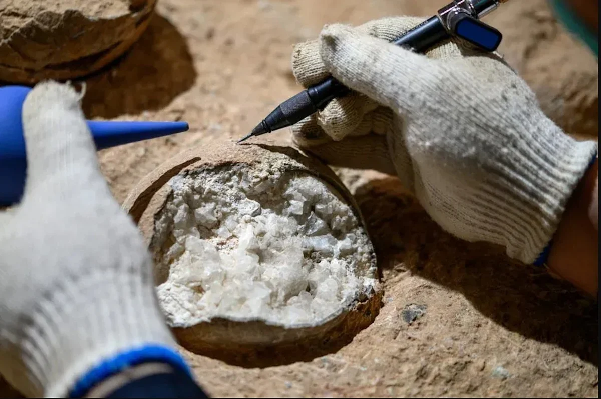 Die erste direkte Datierung von Dinosaurier-Eiern: Ein Meilenstein in der Paläontologie