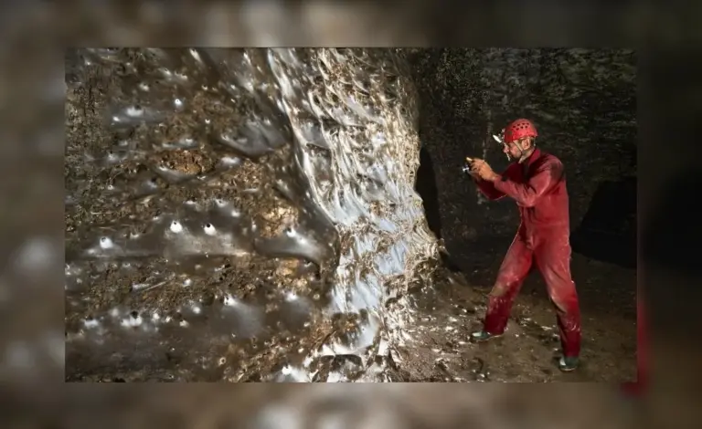 Die größte Spinnenkolonie der Welt: 106 Quadratmeter voller Geheimnisse