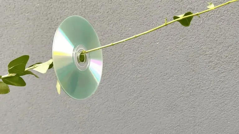 Die Verwendung von CDs zur Vogelabwehr im Garten
