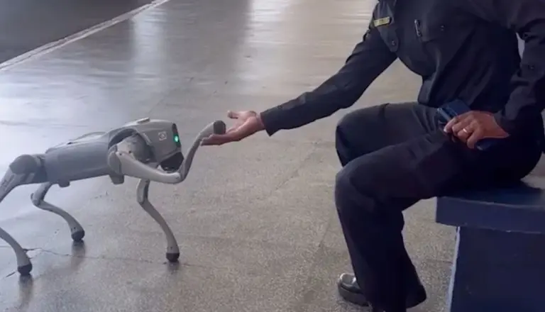 Ein neuartiger Roboterhund zur Unterstützung der Stadtpolizei in Americana