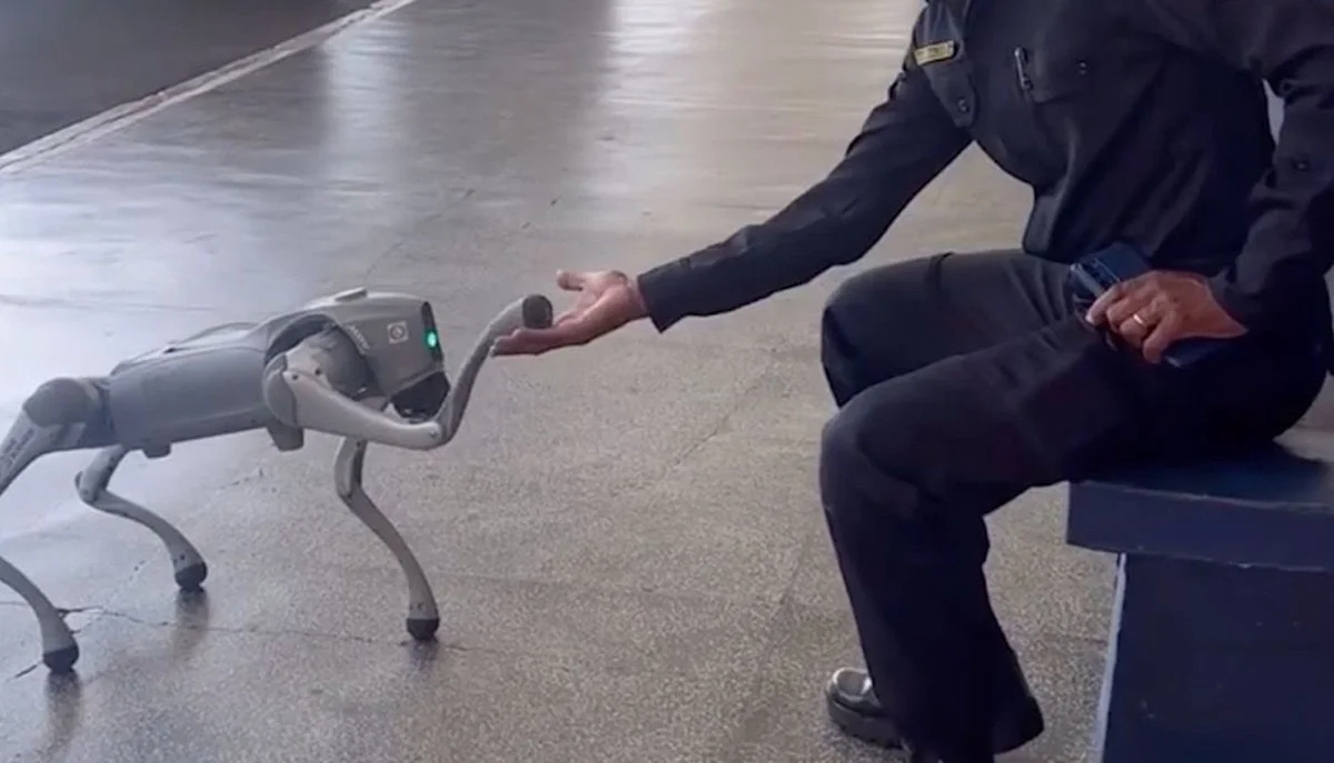 Ein neuartiger Roboterhund zur Unterstützung der Stadtpolizei in Americana