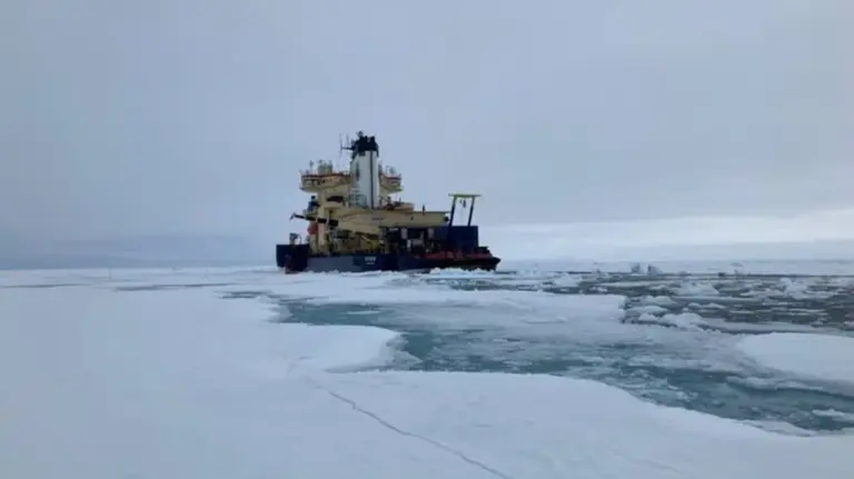 Entdeckung einer geheimnisvollen Lebenswelt unter dem arktischen Eis