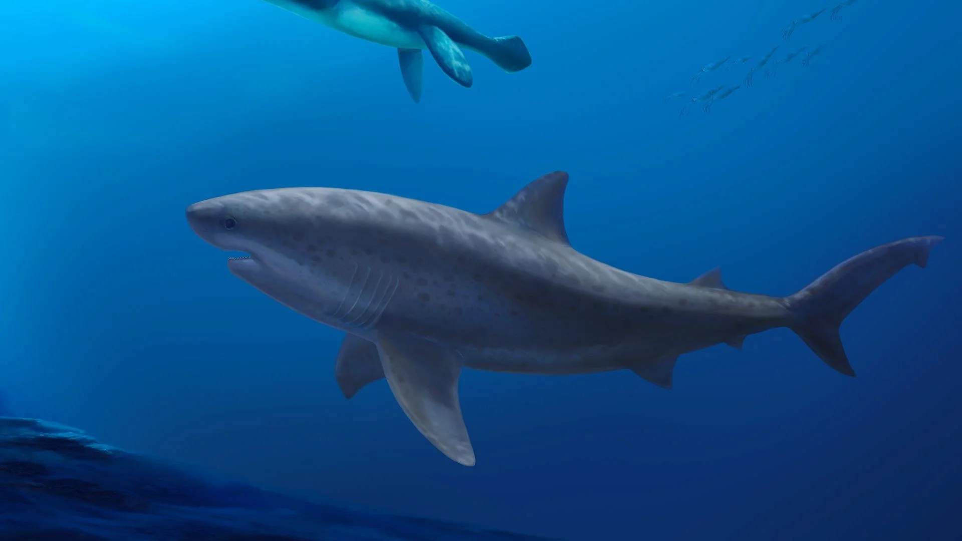 Frühe gigantische Lamniformen: Der Beginn der Mega-Körpergröße in der Evolution der modernen Haie