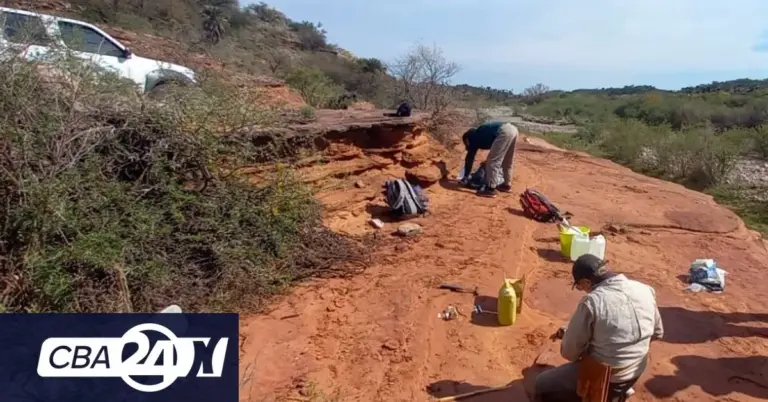 Historischer Fund in Córdoba: Ein bedeutendes fossiles Knochenstück entdeckt