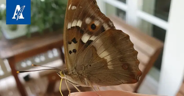 Moro, Vapriikki: Ein Einblick in die Naturwissenschaft
