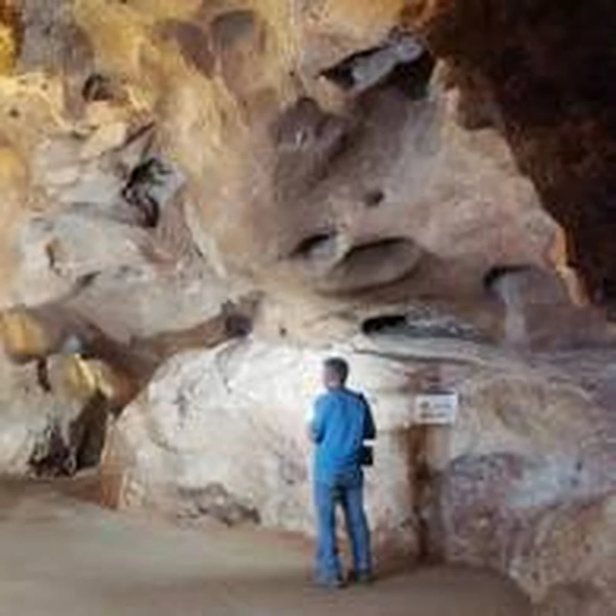 Neue Entdeckungen in der Wissenschaft und aktuelle Ereignisse