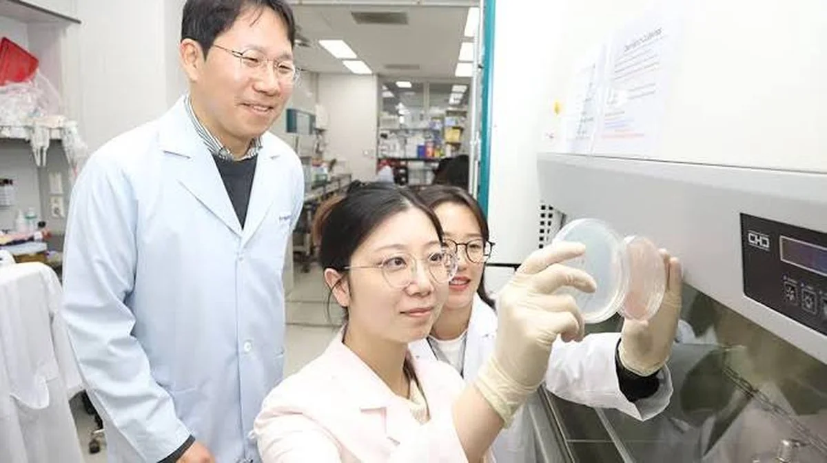 Neuer Ansatz zur Lösung der Plastikmüllverschmutzung durch Mikroben