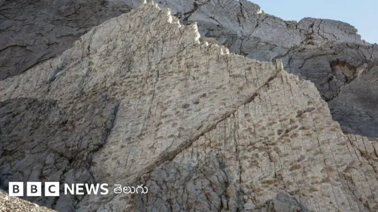 Warum Fußabdrücke von Dinosauriern in Norditalien die Forschung revolutionieren könnten