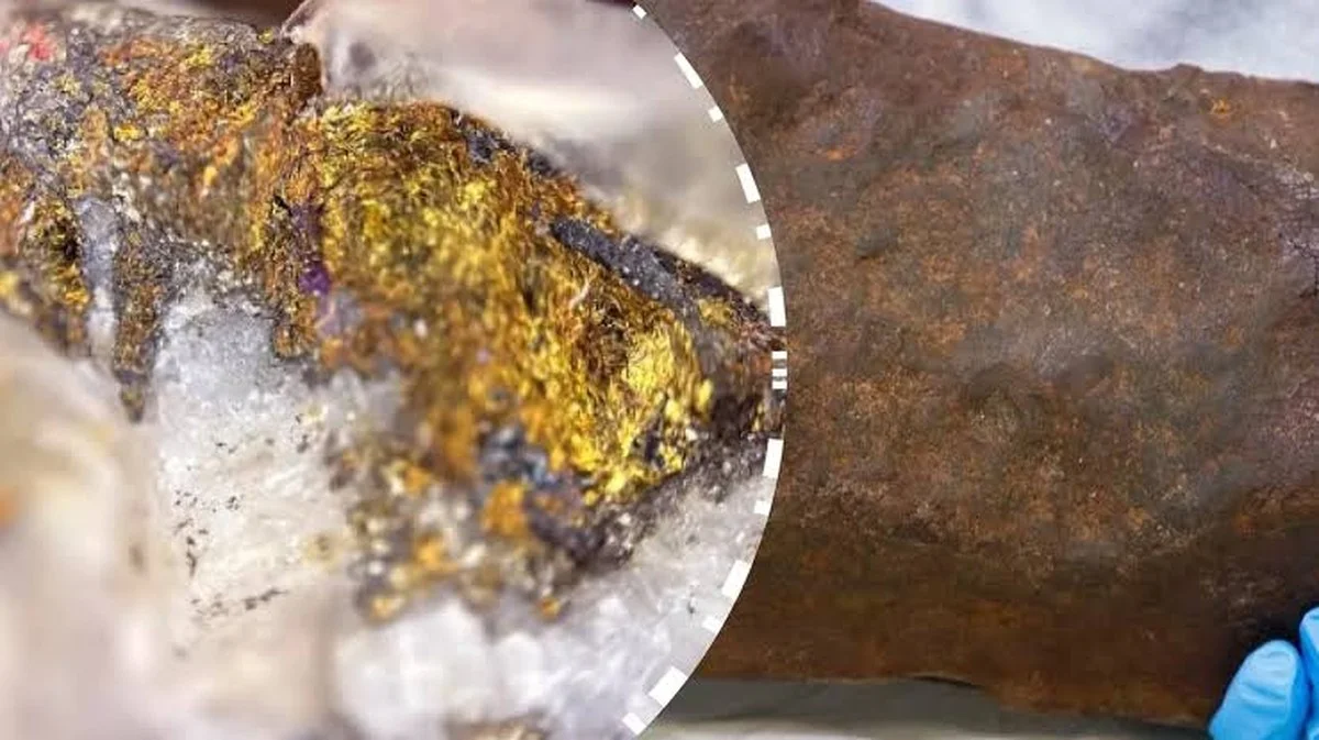 Warum neigt Ihr Hund den Kopf, wenn Sie mit ihm sprechen?