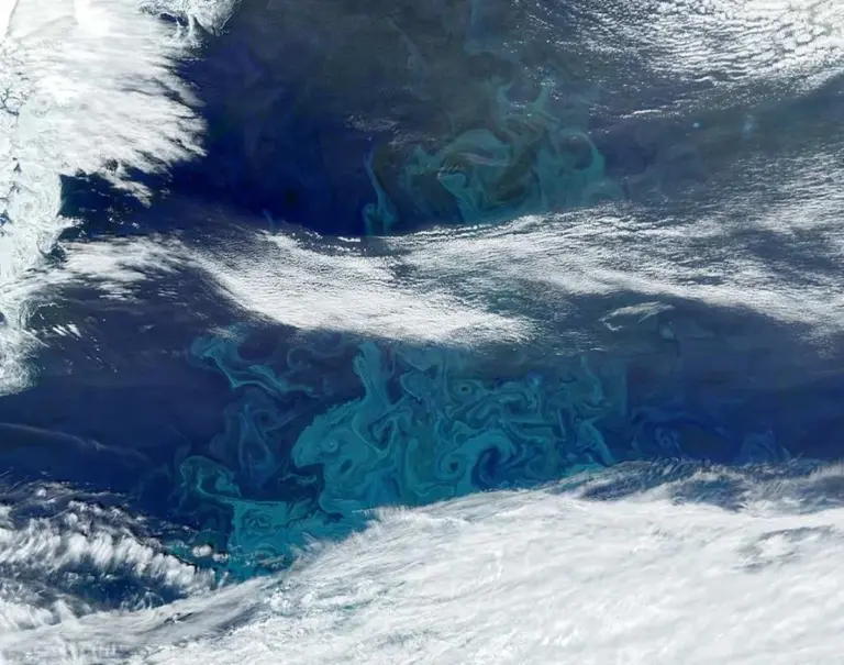 Wie Erdbeben im Ozean das Wachstum von Phytoplankton ankurbeln